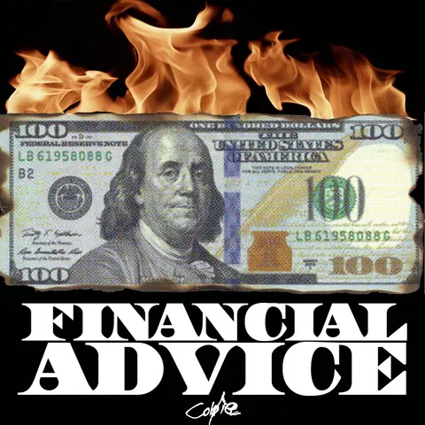 Financial Advice — 1/1 digital artwork by Coldie (2019)